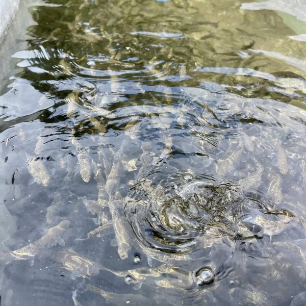 477916697_612719848048710_713089733599112341_n