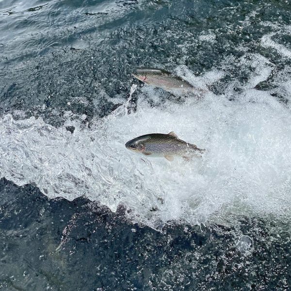 480547250_620988573888504_3893873485951829664_n